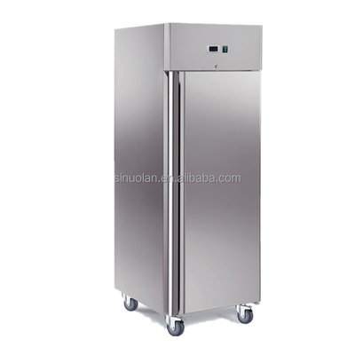 Commercial Refrigerator / Kitchen Freezer / Custom Mini Fridge For Restaurant